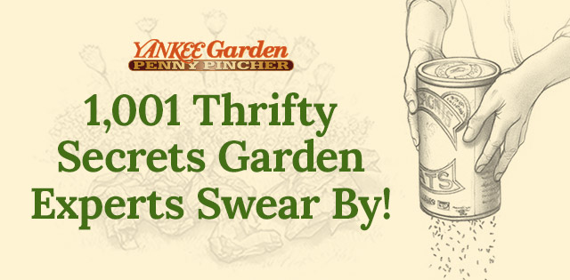 1,001 Thrifty Secrets Garden Experts Swear By!