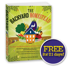 The Backyard Homestead