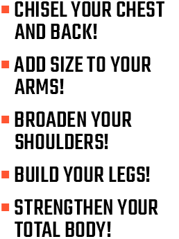 Chisel Your Chest and Back! Add Size to Your Arms! Broaden Your Shoulders! Build Massive Legs! Strengthen Your Total Body!